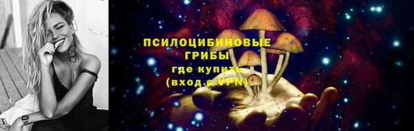 ГАЛЛЮЦИНОГЕННЫЕ ГРИБЫ Навашино